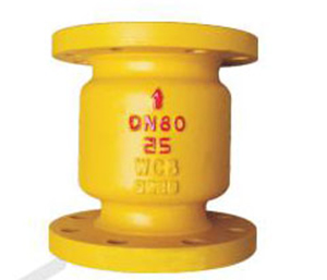 H42N vertical check valve